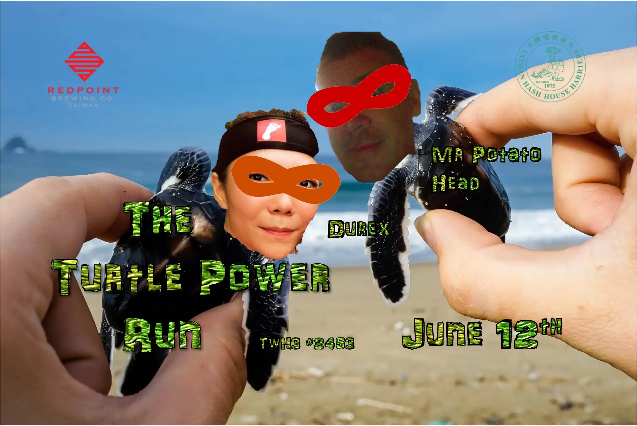 #2453- The Turtle Power Run